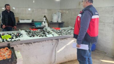 Kütahya’nın Emet ilçesinde balıkçılara yönelik denetim gerçekleştirildi. Emet İlçe Tarım