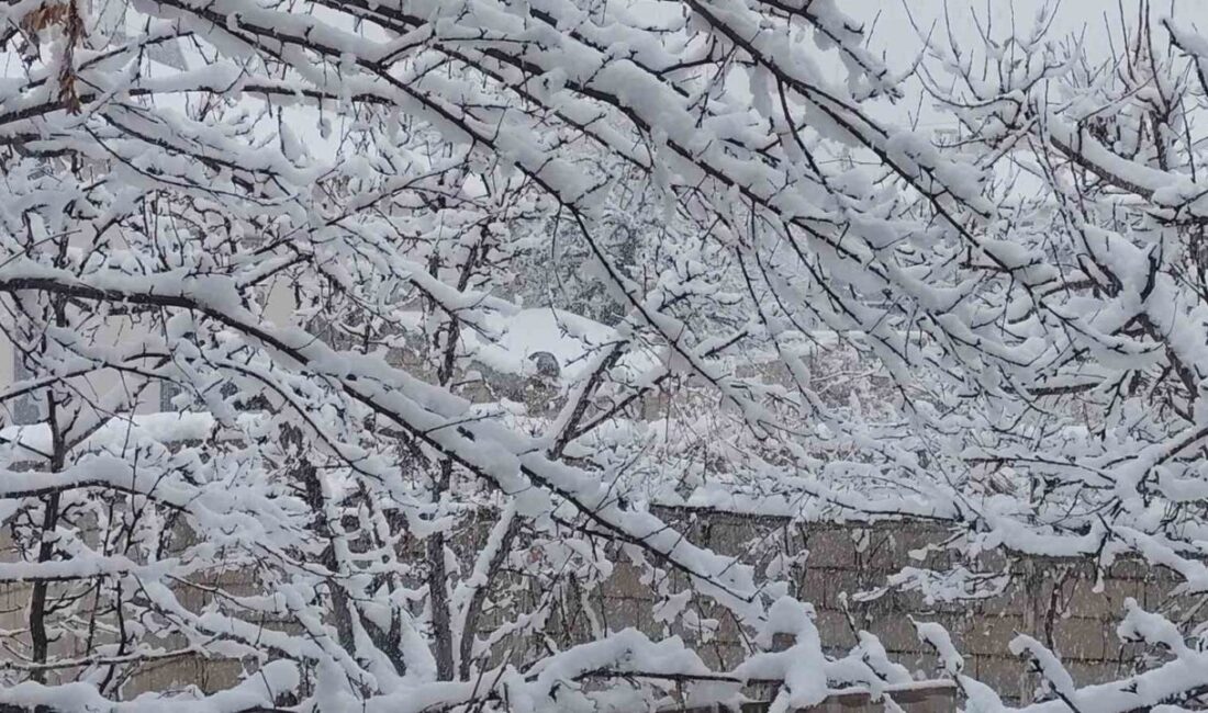 Van’ın Erciş ilçesinde etkili olan kar yağışı ile birlikte kent