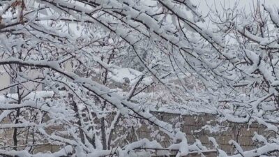 Van’ın Erciş ilçesinde etkili olan kar yağışı ile birlikte kent