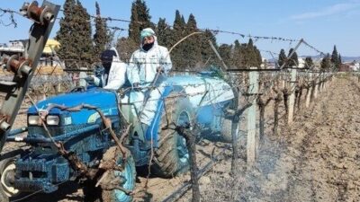 Erzincan İl Tarım ve Orman Müdürlüğü, bağ, bahçe ve tarla