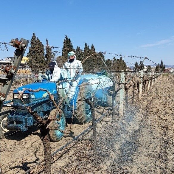 Erzincan İl Tarım ve Orman Müdürlüğü, bağ, bahçe ve tarla