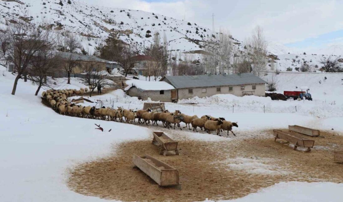 Erzincan İl Tarım ve Orman Müdürlüğü, il genelinde beklenen kar