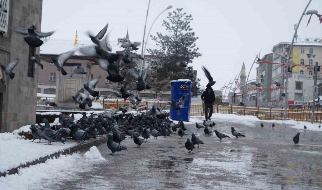 Meteoroloji 12. Bölge Müdürlüğü, bölge genelinde havanın parçalı ve çok