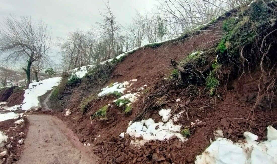 Ordu’nun Fatsa ilçesinde etkili olan sağanak yağışların ardından 45 mahallede