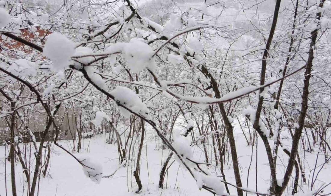 Giresun Üniversitesi Fındık İhtisaslaşma Koordinatörü Doç. Dr. Ali Turan, mart