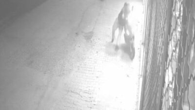 Kahramanmaraş’ta bir sürücü motosikletine dokunduğu gibi gaza basınca sürüklenip düştü.