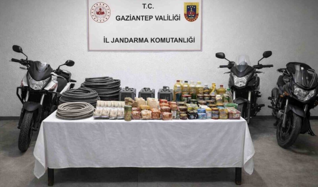 Gaziantep’te hırsızlık şüphelisi 12 şahıs, jandarma ekiplerince yakalandı. Gaziantep İl