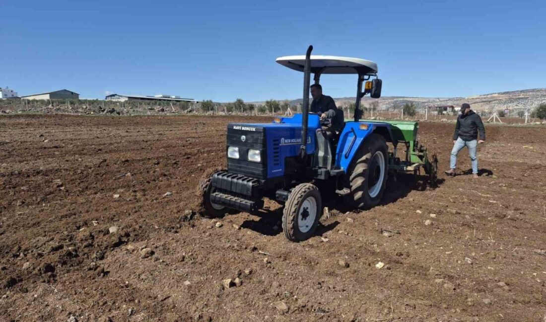 Gaziantep’in Yavuzeli ilçesindeki tarım arazilerinde nohut ekimi mesaisi başladı. Gaziantep’te