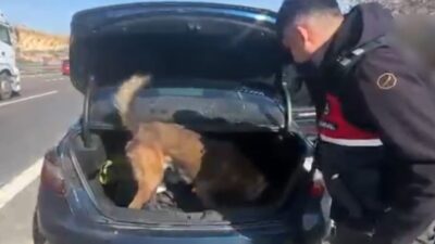 Gaziantep’te otoyolda emniyet şeridinde park halinde bulunan bir araçta yapılan