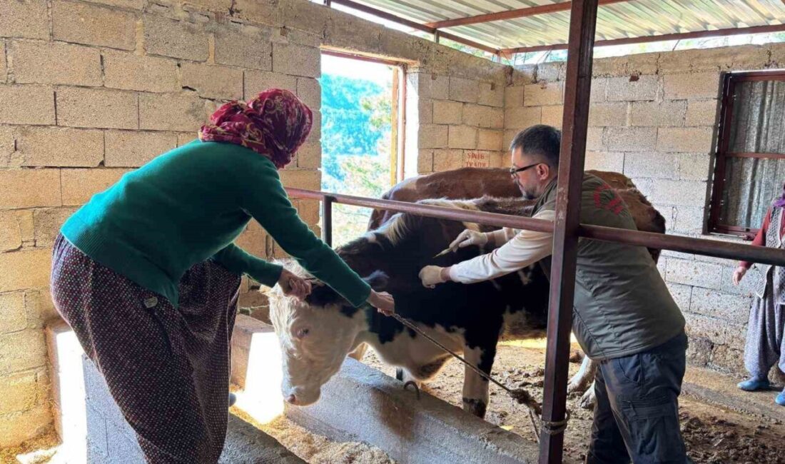 Antalya’nın Gazipaşa ilçesinde, Gazipaşa İlçe Tarım ve Orman Müdürlüğü tarafından