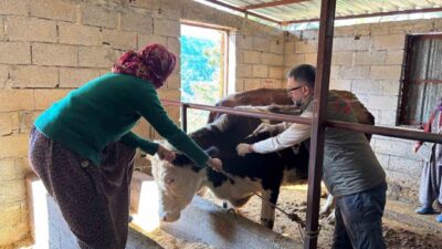 Antalya’nın Gazipaşa ilçesinde, Gazipaşa İlçe Tarım ve Orman Müdürlüğü tarafından