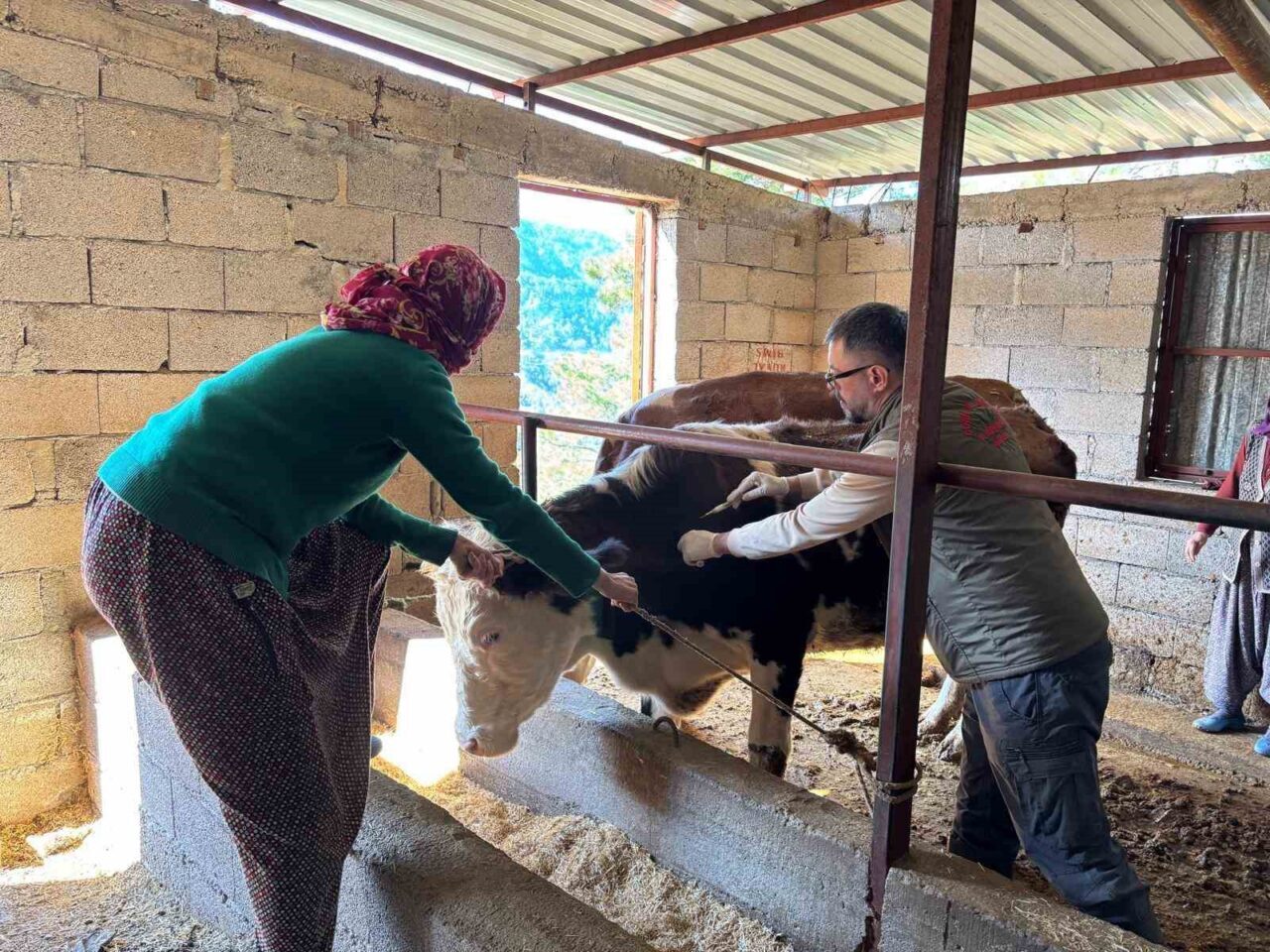 Antalya’nın Gazipaşa ilçesinde, Gazipaşa İlçe Tarım ve Orman Müdürlüğü tarafından