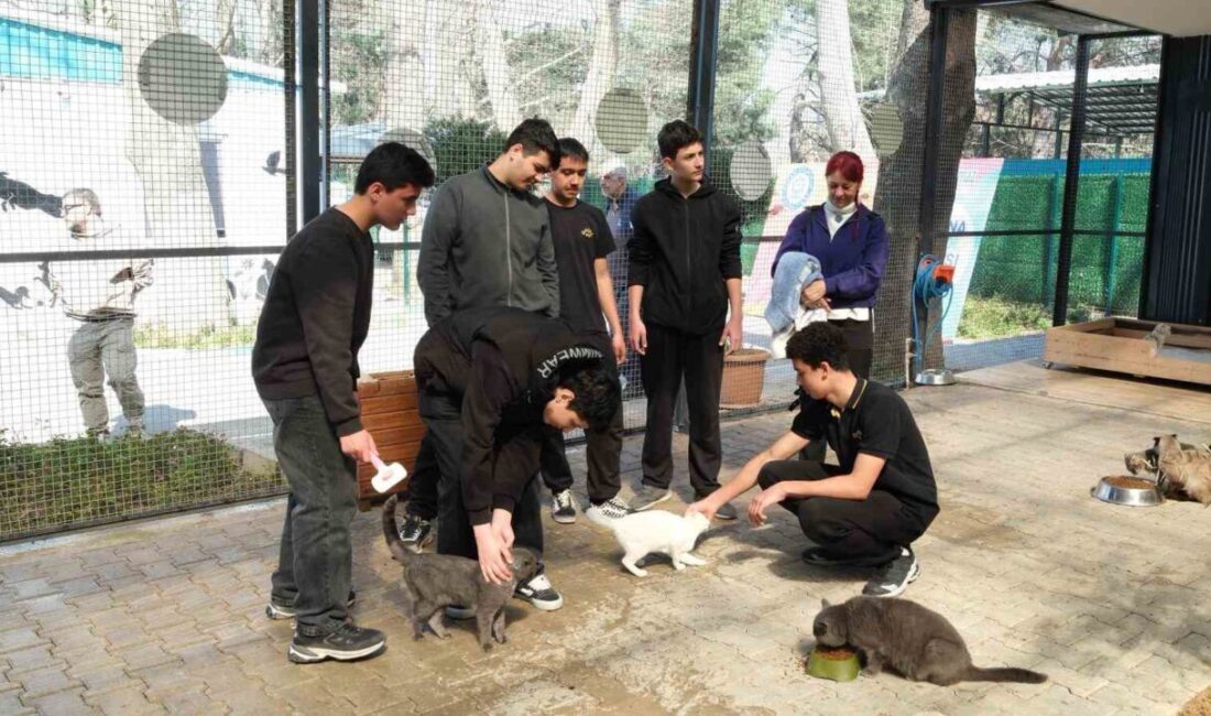 Yıldırım Belediyesi, Cumalıkızık Sahipsiz Hayvan Bakımevi ve Tedavi Merkezi ile