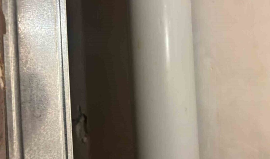 Adalet Bakanlığı, gri kategoride aranan FETÖ firarisi Şadan Sakınan’ın yakalandığını