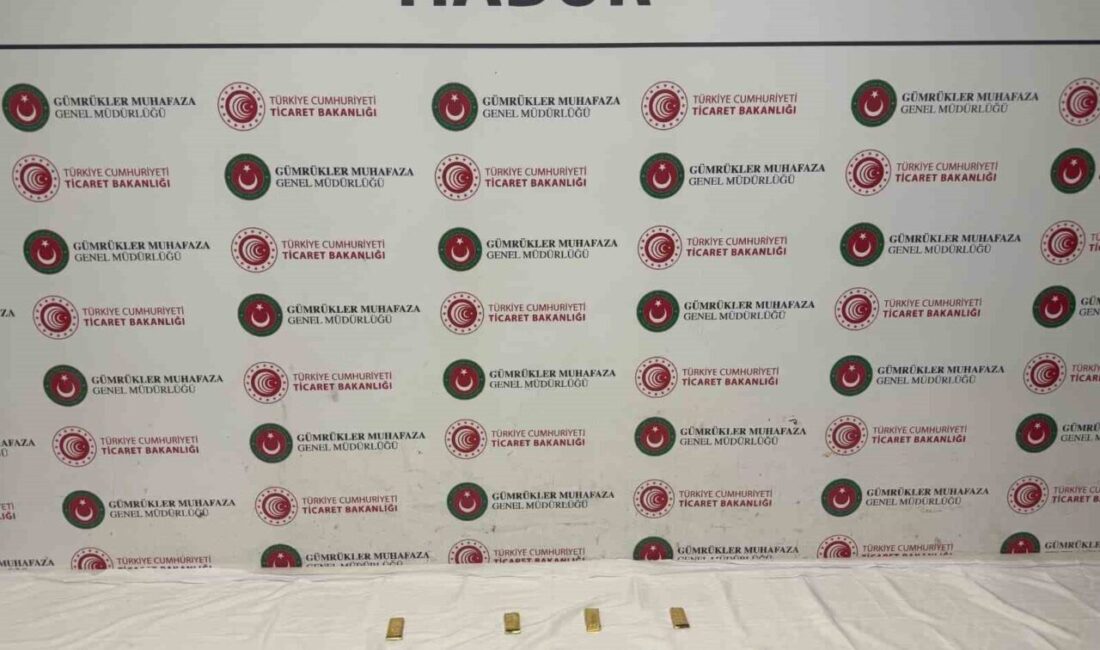 Şırnak’taki Habur Gümrük Kapısı’nda gerçekleştirilen gümrük kontrol ve denetimleri kapsamında