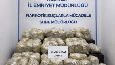 Hakkari’de emniyet ekipleri tarafından yapılan çalışmalar sonucu 64 kilogram skunk
