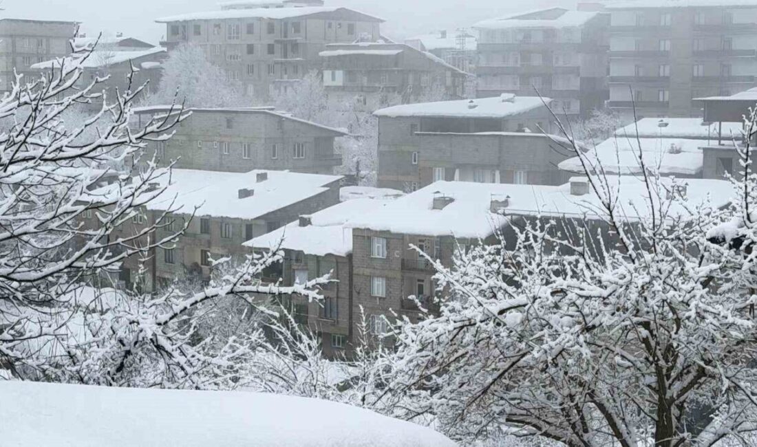 Hakkari’de Meteoroloji Genel Müdürlüğü’nün uyarılarının ardından kar yağışı etkisini artırdı.