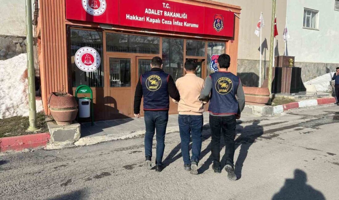 Hakkari’de jandarma ekipleri tarafından yapılan çalışmalar çerçevesinde çeşitli suçlardan kesinleşmiş