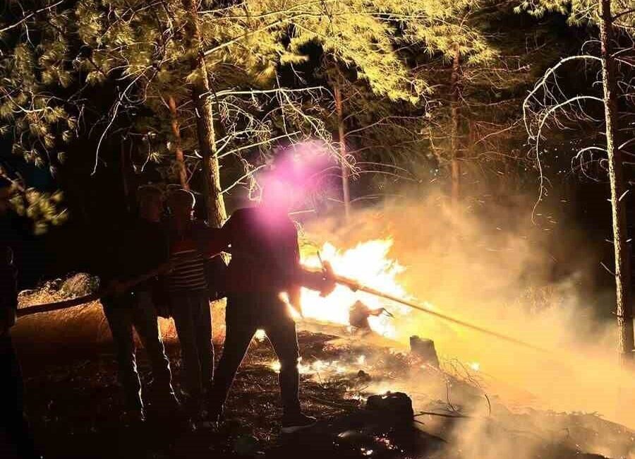 Hatay’ın Dörtyol ilçesinde ormanlık alanda çıkan yangın büyümeden kontrol altına