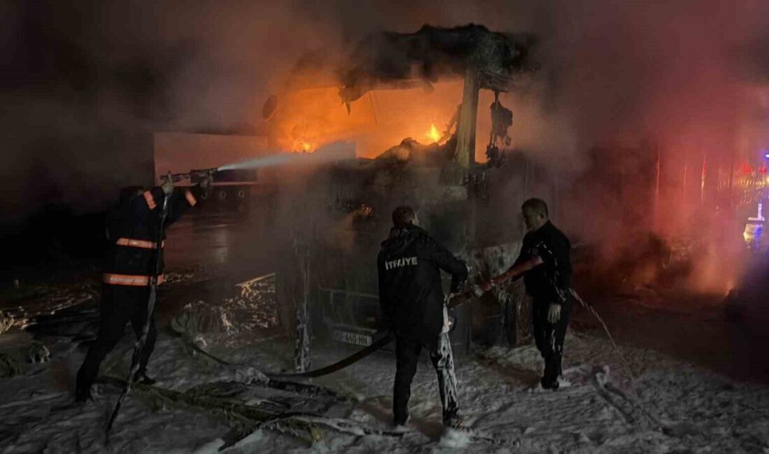 Artvin’in Hopa ilçesinde dün gece tır parkında çıkan yangında parkta