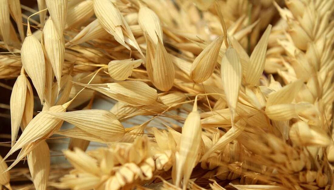 Konya’nın Hüyük ilçesinde tarımsal üretimi geliştirmeye yönelik önemli bir çalışma