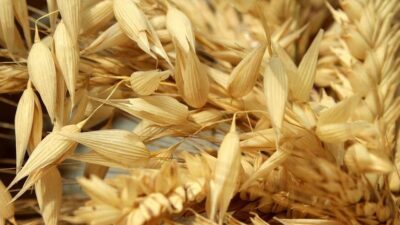 Konya’nın Hüyük ilçesinde tarımsal üretimi geliştirmeye yönelik önemli bir çalışma