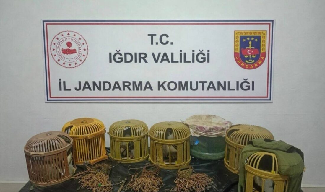 Iğdır’ın Tuzluca ilçesinde jandarma ekiplerinin düzenlediği operasyonda yasak yöntemlerle keklik