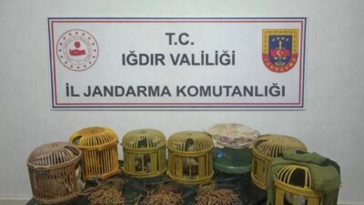 Iğdır’ın Tuzluca ilçesinde jandarma ekiplerinin düzenlediği operasyonda yasak yöntemlerle keklik