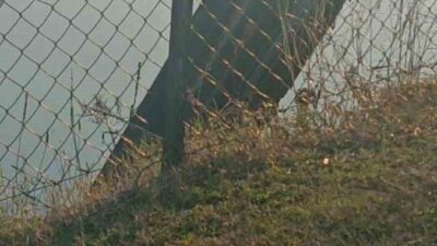 Milli Savunma Bakanlığı’ndan yapılan açıklamada, İran’dan ateşlenip Irak ve Suriye