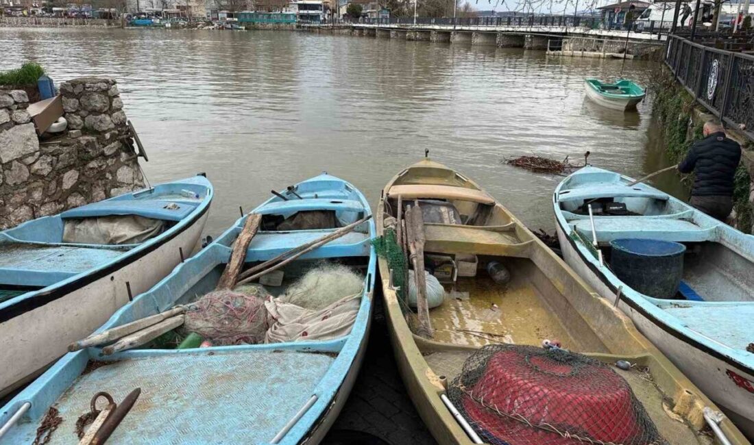 Bursa’daki Uluabat Gölü’nde avlanan İsrail sazanı, Suriye ve Irak’a ihraç