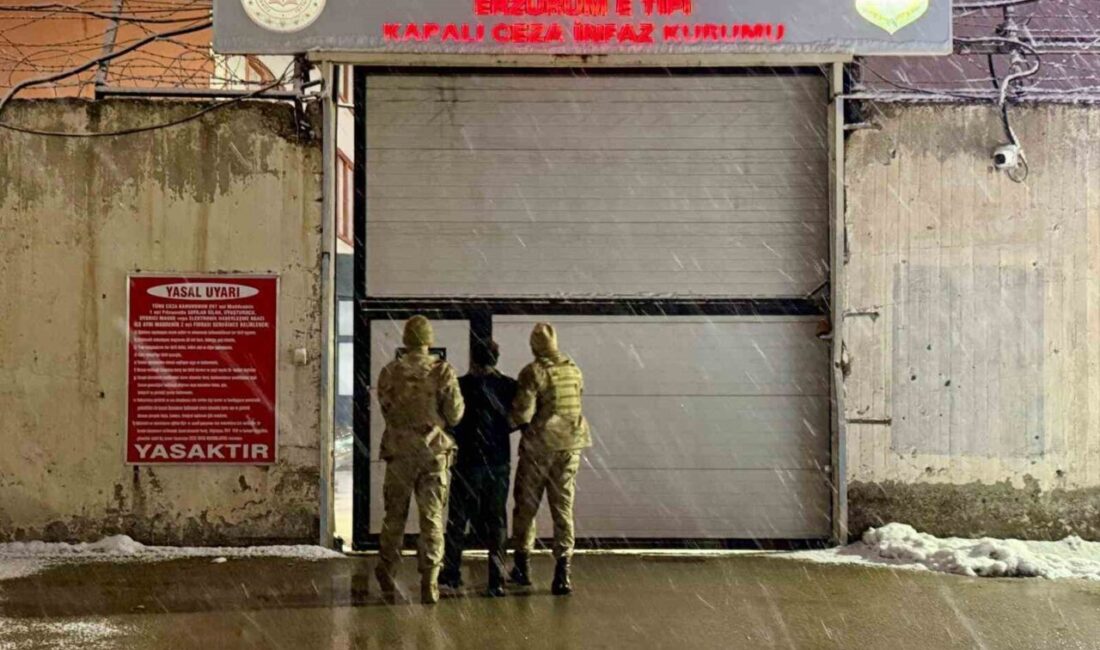 Erzurum ve Bitlis’te düzenlenen operasyonda 7 düzensiz göçmen ve 4