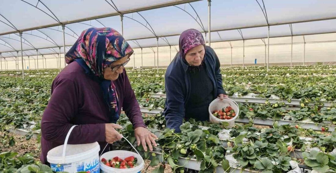 Mersin’in Silifke ilçesinde 8 Mart Dünya Kadınlar Günü’nde birçok kadın,