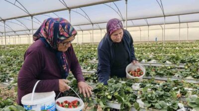 Mersin’in Silifke ilçesinde 8 Mart Dünya Kadınlar Günü’nde birçok kadın,
