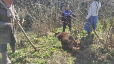 Samsun’un Terme Belediyesi zabıta ekipleri, görev güzergahları üzerinde tesadüfen fark