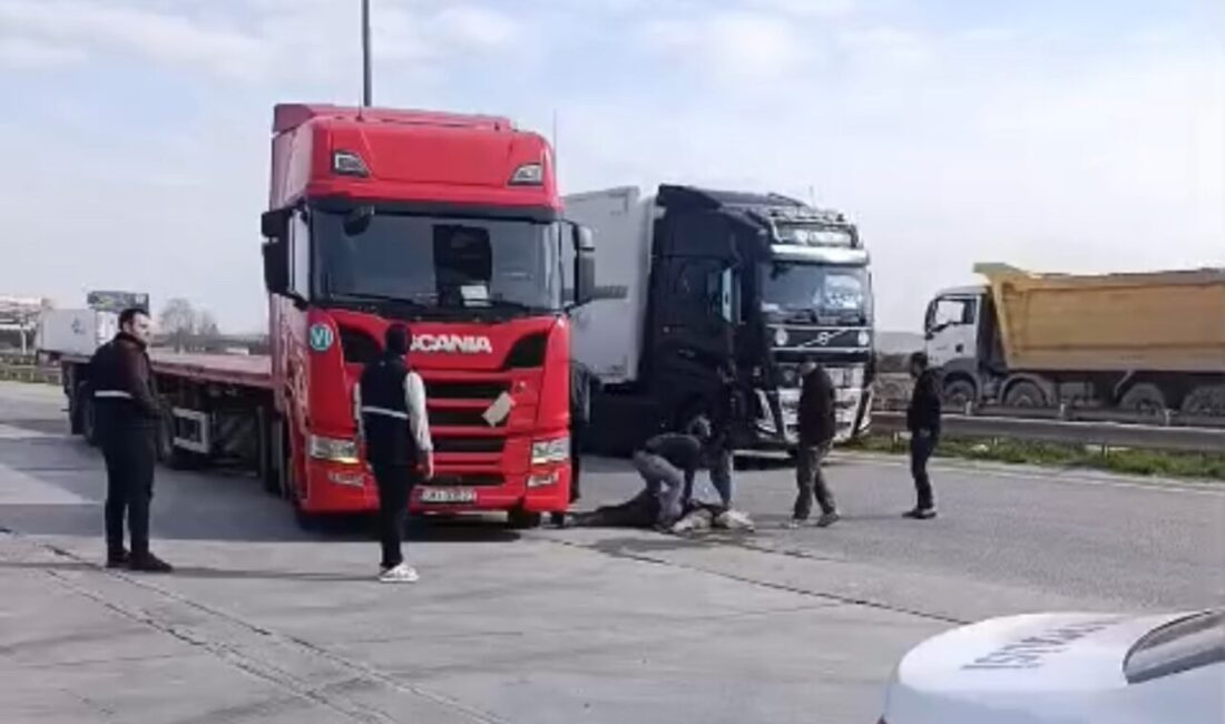 Edirne’de Kapıkule Sınır Kapısı yakınlarında bir tır şoförü seyir halindeyken