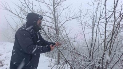 Ordu’nun Fatsa ilçesinde etkili olan kar yağışı, fındık üreticilerini tedirgin