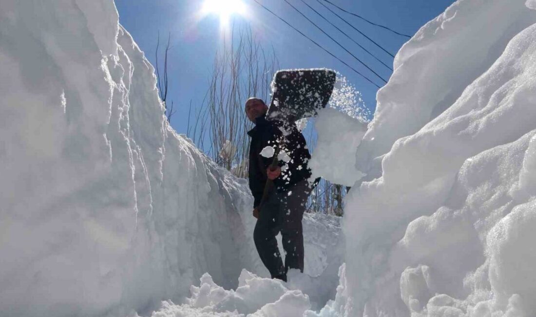 Bitlis’te kar kalınlığının yer yer 2 metreyi bulduğu köyde vatandaşlar