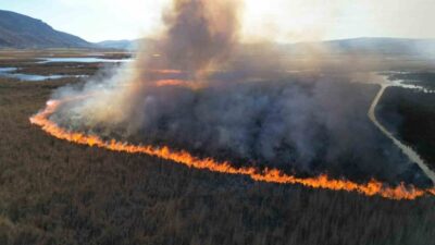 Afyonkarahisar’da Karamık Gölü’nde suların çekildiği bölgelerdeki adacıklar da çıkan kamış