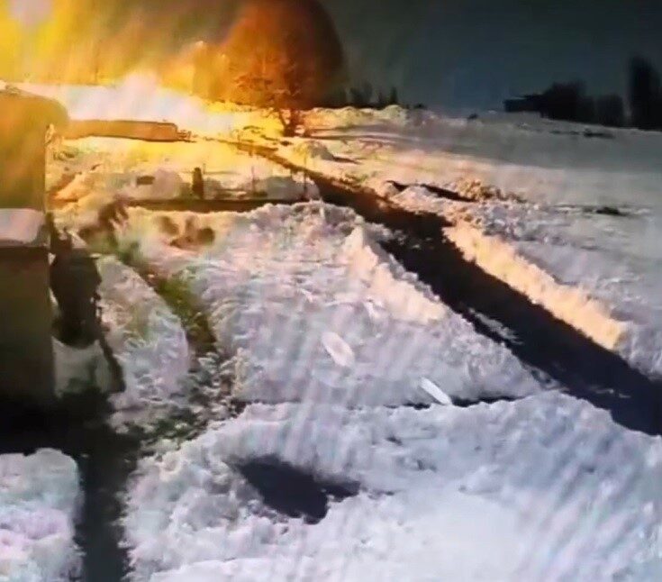 Kars’ta bir vatandaş, evinin bahçesine kadar kurt sürüsünü kürekle kovaladı.