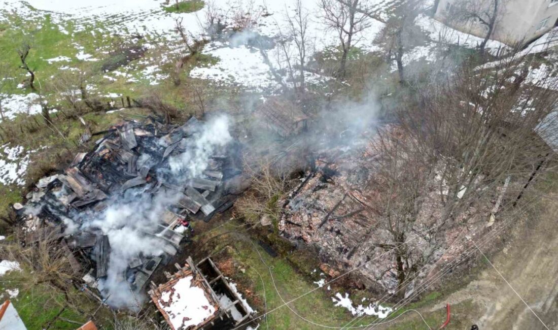 Kastamonu’nun Bozkurt ilçesine bağlı Keşlik köyünde sobadan çıktığı tahmin edilen