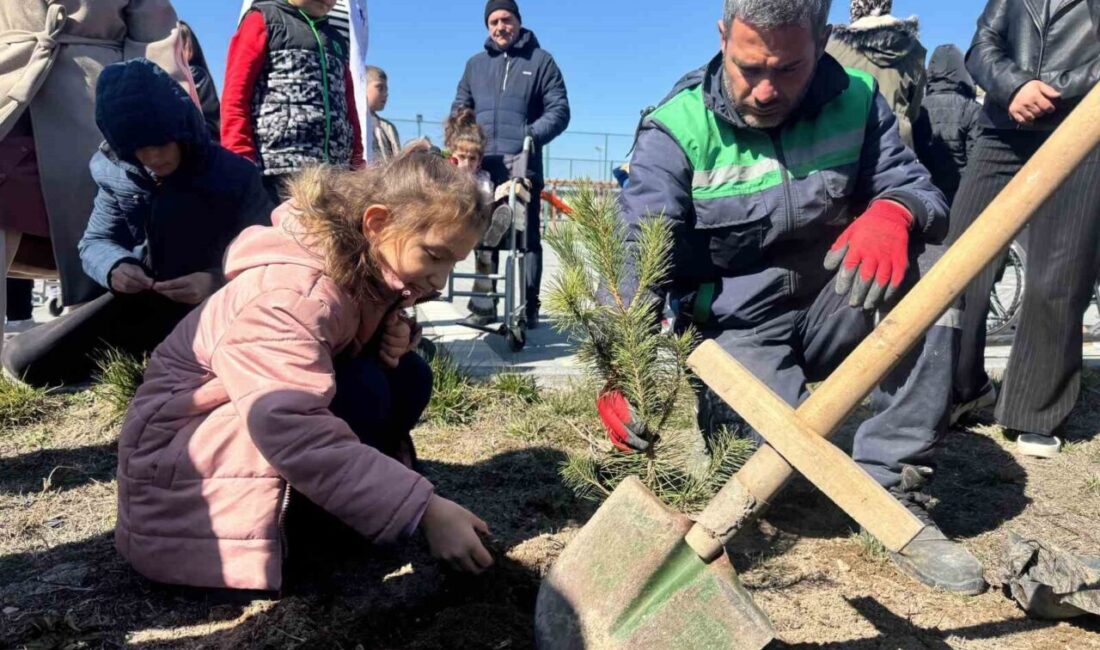Kayseri Büyükşehir Belediyesi, özel ihtiyaçlı öğrencilerle birlikte düzenlediği ağaç dikim