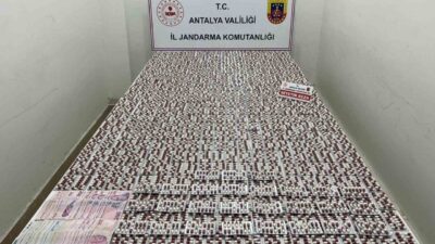 Antalya’nın Kepez ilçesinde jandarma ekiplerince yapılan çalışmalarda 15 bin 560