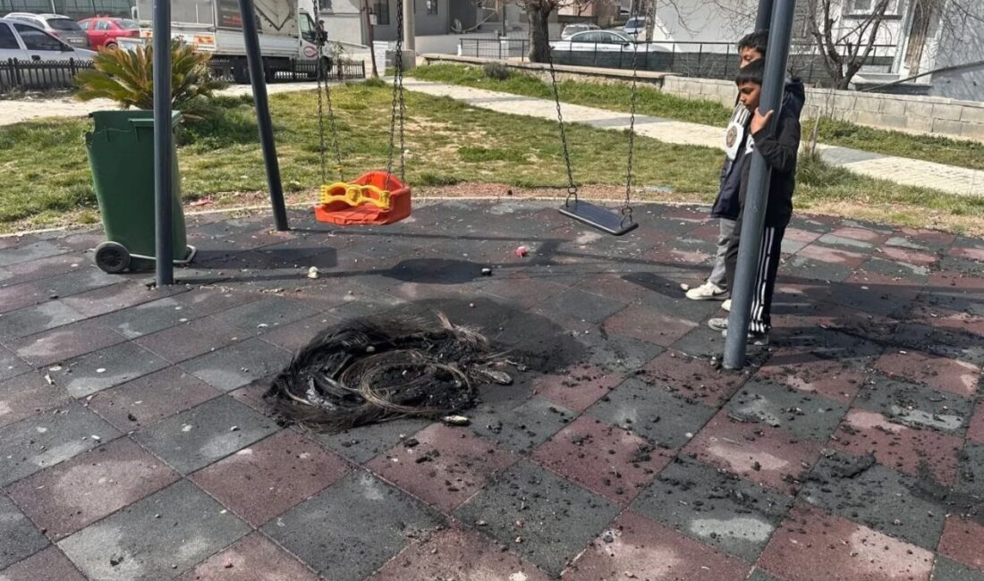 Edirne’nin Keşan ilçesinde, bir grup gencin, çocuk parkında yaktığı araç