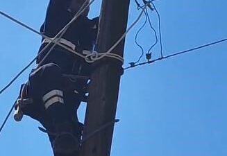 Artvin’in Şavşat ilçesinde köpeklerden korkarak elektrik direğine çıkan ve saatlerce