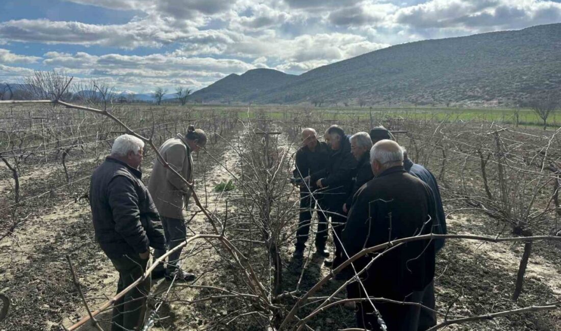 Korkuteli İlçe Tarım ve Orman Müdürlüğü teknik personeli tarafından, Korkuteli’ne