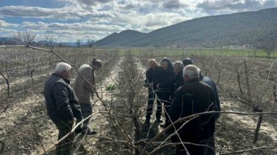 Korkuteli İlçe Tarım ve Orman Müdürlüğü teknik personeli tarafından, Korkuteli’ne