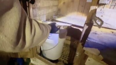 Samsun’un Kavak ilçesinde jandarma ekiplerince düzenlenen operasyonda kümes içerisinde bin