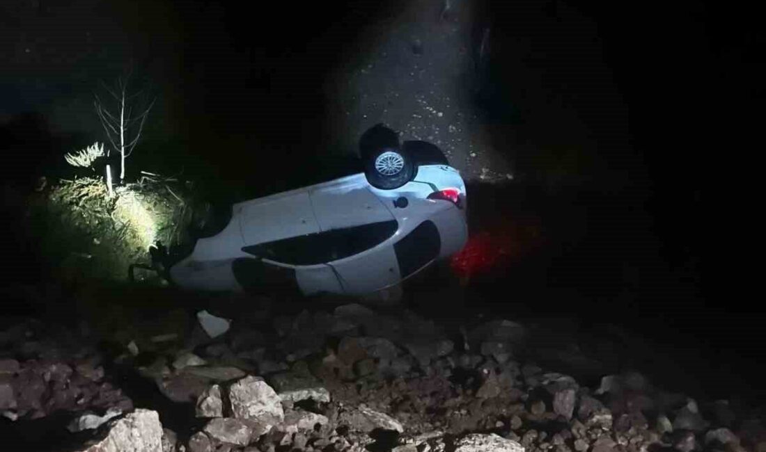 Siirt’in Kurtalan ilçesinde otomobilin takla atması sonucu sürücü yaralandı. Edinilen