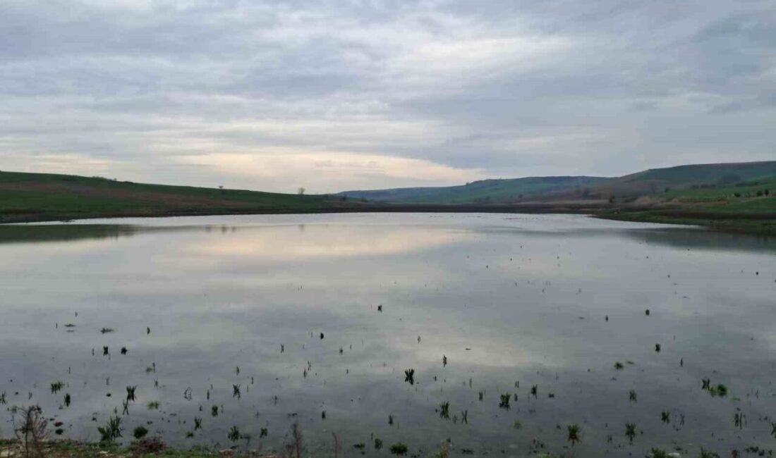 Tekirdağ’ın Muratlı ilçesine bağlı Yeşilsırt Mahallesi sınırlarında bulunan Yeşilsırt Göleti,