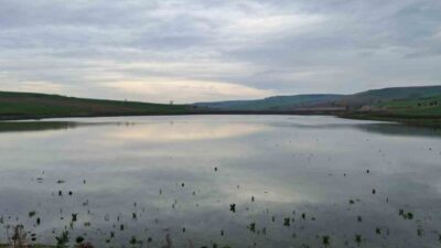 Tekirdağ’ın Muratlı ilçesine bağlı Yeşilsırt Mahallesi sınırlarında bulunan Yeşilsırt Göleti,